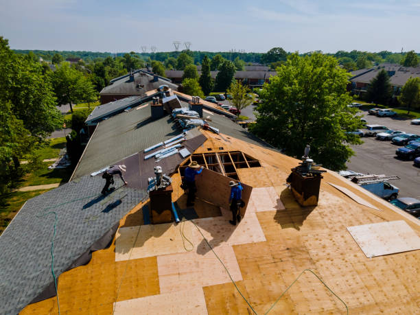 Quick and Trustworthy Emergency Roof Repair Services in Steiner Ranch, TX