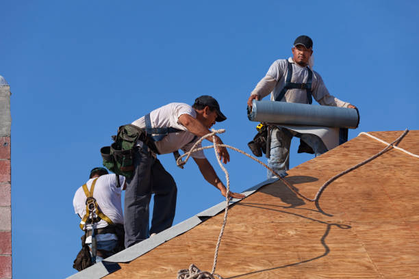 Roof Gutter Cleaning in Steiner Ranch, TX